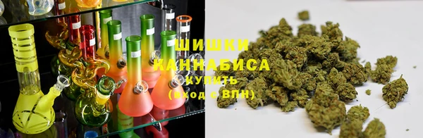гидропоника Гусев
