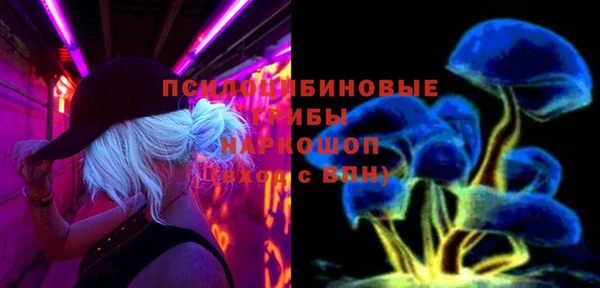 стафф Гусиноозёрск