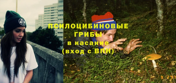 стафф Гусиноозёрск