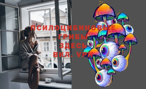 PSILOCYBIN Гусь-Хрустальный